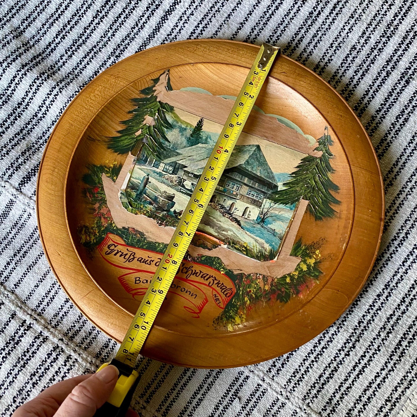 Vintage Hand Painted German Wooden Souvenir Plate Wall Hanging
