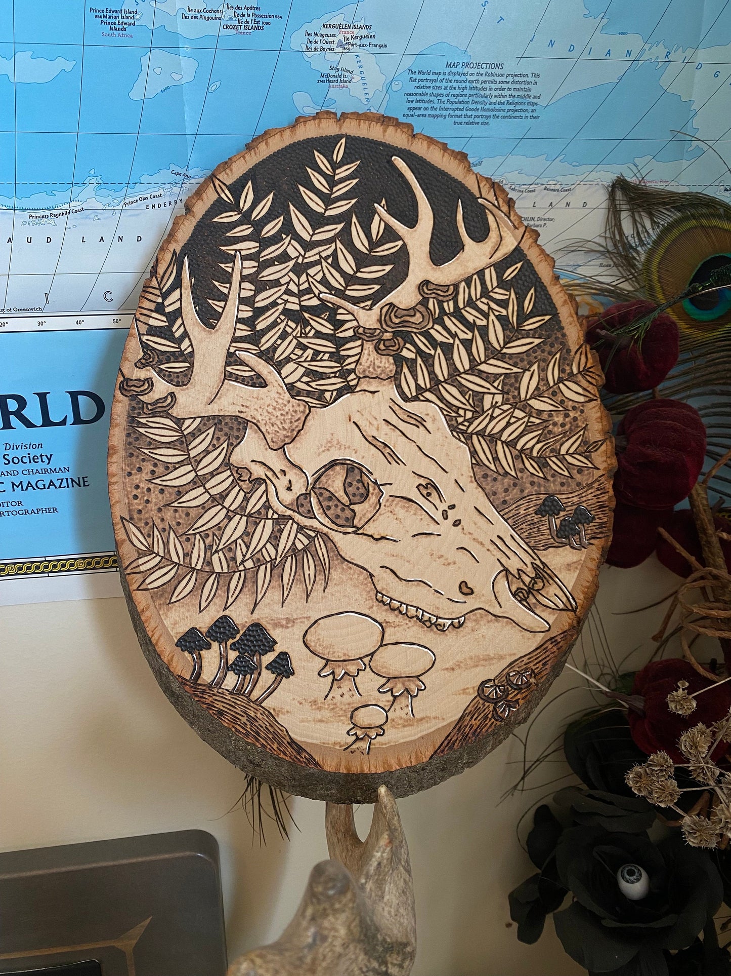 8.5x11” Deer Skull in The Forest Pyrography Woodburning