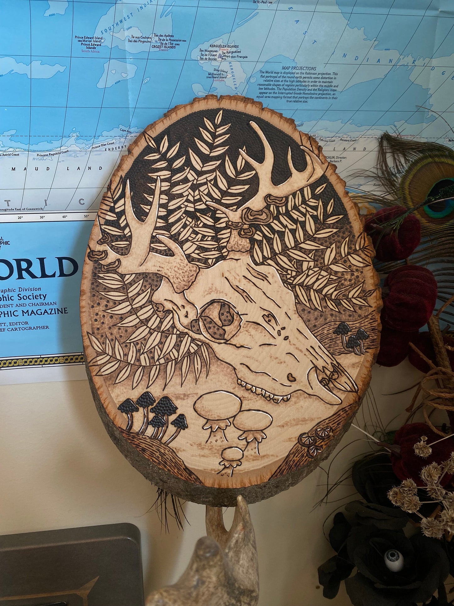 8.5x11” Deer Skull in The Forest Pyrography Woodburning