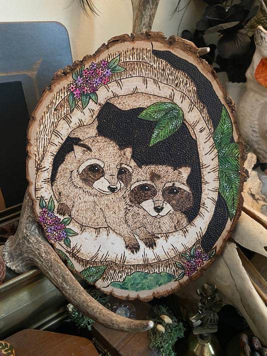 8x9.5” Raccoon Kits Pyrography Woodburning and Watercolor