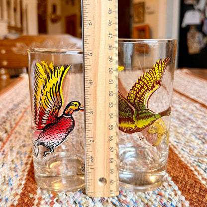 Set of 2 Vintage Federal Game Fowl / Waterfowl Highball Tumbler Glasses
