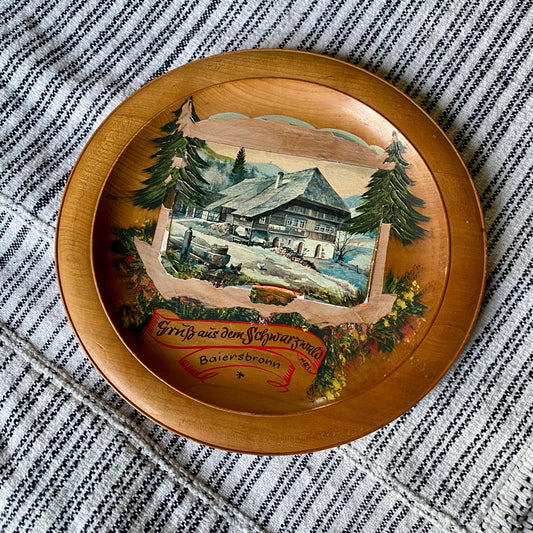 Vintage Hand Painted German Wooden Souvenir Plate Wall Hanging