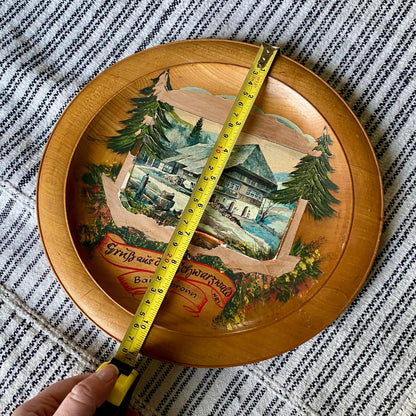 Vintage Hand Painted German Wooden Souvenir Plate Wall Hanging